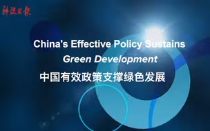 中国欧盟商会能源工作组成员泰拉：中国有效政策支撑绿色发展