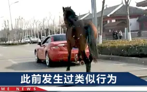 河南街头，红色奔驰车屁股拴了一匹“汗血宝马”？交警介入调查