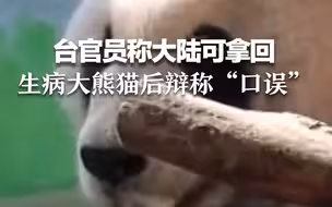 台官员称大陆可拿回生病大熊猫后辩称“口误” 台北前市长：不是口误，是可恶！