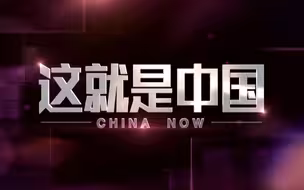 【合集】张维为《这就是中国》第一季度（12期）精彩片段