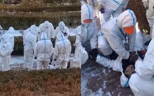 抢救画面曝光！大连一防疫志愿者突发疾病离世 曾多次做志愿者
