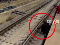 “网传有旅客跳入股道捡行李箱逼停列车”，铁路苏州站通报：是旅客不慎跌入股道，身体并无大碍