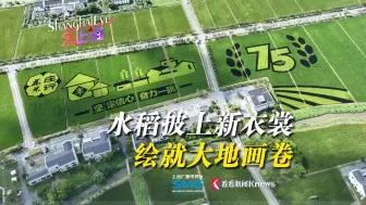 以禾苗为笔 绘就大地画卷！稻田画进入最佳观赏期