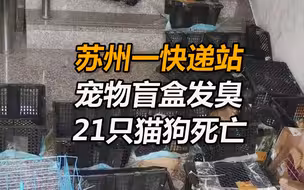 苏州一快递站宠物盲盒发臭，21只猫狗死亡，发货3天后因违规退回