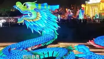 中国范儿过大年~龙里龙气氛围拉满了（源自人民网）