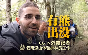 有熊出没！CGTN外籍记者云南深山体验护林员工作