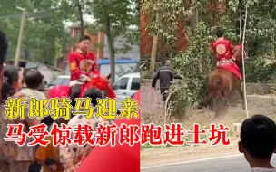 新郎骑马迎亲马受惊载他冲进土坑，马夫急拽缰绳险被绊倒