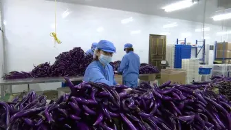 丽水市调研组来龙调研“三位一体”综合改革