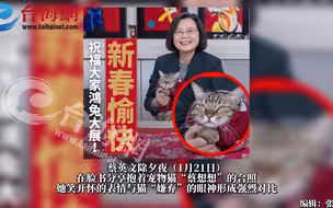 无人可用！民进党当局新