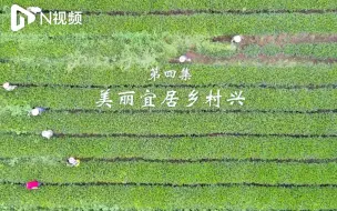 《奋斗的力量》第4集：美丽宜居乡村兴