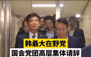 韩最大在野党国会党团高层集体请辞