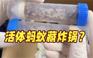 警惕！上海海关截获一空气炸锅 竟暗藏1.3万余只活体蚂蚁