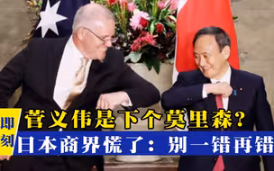 菅义伟是下一个莫里森？美日密集反华，日本商界慌了：别一错再错