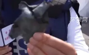 摄像头拍下火箭弹袭击瞬间，中国女记者身穿防弹衣在巴以冲突现场捡到火箭弹碎片