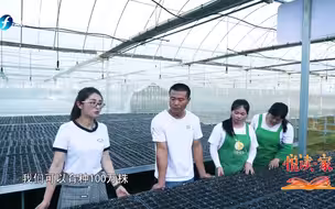 她用百香果助力武平的农户脱贫致富
