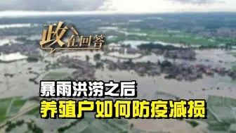 政在回答丨暴雨洪涝之后 养殖户如何防疫减损