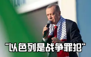 埃尔多安说以色列是战争罪犯