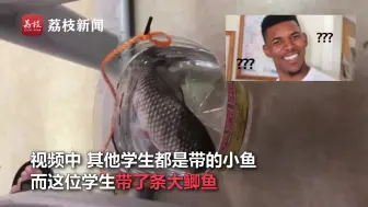 学生带一斤重大鲫鱼上科学课