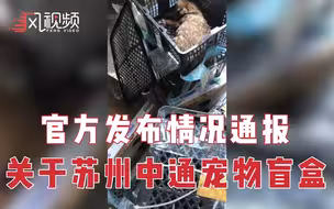 官方通报苏州一快递站宠物盲盒：发现快件13件，动物已死亡