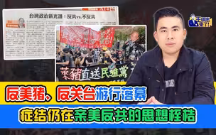 王炳忠：反美猪、反关台游行落幕  症结仍在亲美反共的思想桎梏