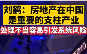 刘鹤：房地产在中国是重要的支柱产业，处理不当容易引发系统风险