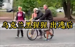 乌克兰一黑猩猩在街头游荡 工作人员给他穿外套 用自行车护送返回