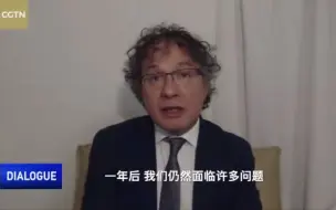 意大利前部长：我每天都在鼓励西方政府向中国学习