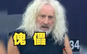 欧洲议会议员: 欧盟在中美关系中站队的做法，像美国的傀儡