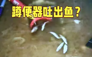 女子一觉醒来家被淹了！蹲便器还冒出10多条鲫鱼？