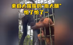 大猩猩：别走啊，要抱抱