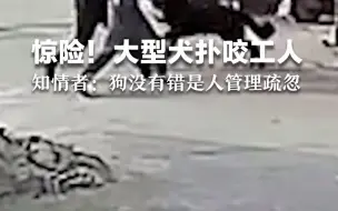 惊险！大型犬扑咬工人所幸无人受伤，知情者：狗没有错，错在人管理疏忽。