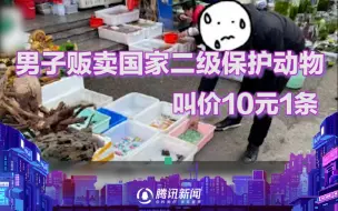 真“刑”！昆明一男子当街贩卖国家二级保护动物 叫价10元1条