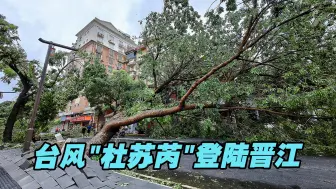台风“杜苏芮”登陆晋江，为今年登陆我国的最强台风