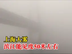 上海大雾滨江能见度50米左右