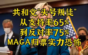共和党头号反懂“叛徒”，今日迎来前所未有惨败