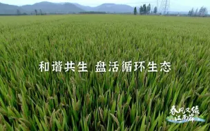 #春风又绿江南岸  循环生态农业出彩，新思路探索新出路