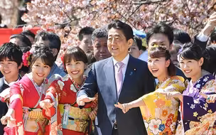 安倍涉嫌挪用50万元办赏樱宴 回应称会全面配合调查