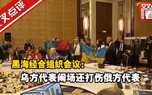 黑海经合组织会议：乌方代表闹场还打伤俄方代表