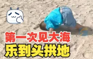 内蒙古孩子第一次见大海 高兴到用头拱沙滩