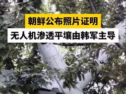朝鲜公布照片证明无人机渗透平壤由韩军主导