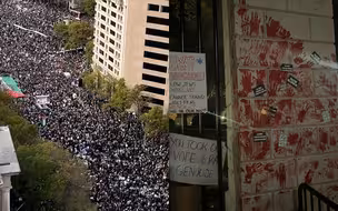 美国首都数万人抗议援助以色列：摇晃白宫大门 砖墙印满红色手印