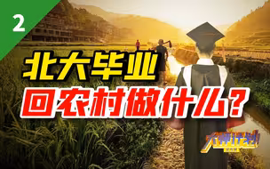 在城里卷不动了，李子柒式的田园生活到底还有多远？【大师计划·江宇02】