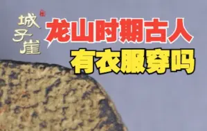 龙山文化时期的人没衣服穿？错！麻的丝的皮毛的都有丨城子崖