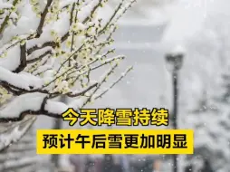 北京今天降雪持续！预计午后雪更加明显