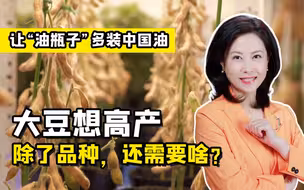 聚焦三农丨大豆想高产，除了品种，还需要啥？