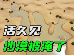 百年难遇，撒哈拉沙漠发洪水，未来会变成绿洲吗