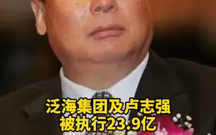 泛海集团及卢志强被执行23.9亿