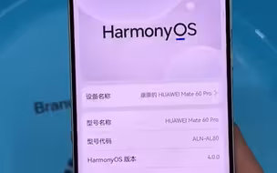 争气机！网友展示华为mate60pro 水下隔空操作、刷视频、截图。轻舟已过万重山，消费者排队取机。