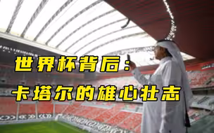 【每日读报】世界杯背后：卡塔尔的雄心壮志