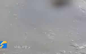 聊城东昌湖发现一具女尸，警方辟谣：非网传10岁女孩 为一成年女性